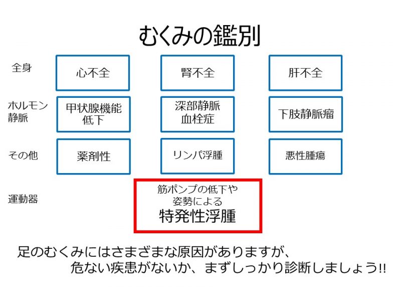 図1むくみの種類